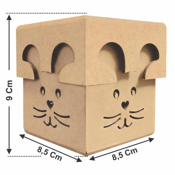 Caixa coelho com tampa de sapato