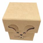 Caixa coelho com tampa de sapato