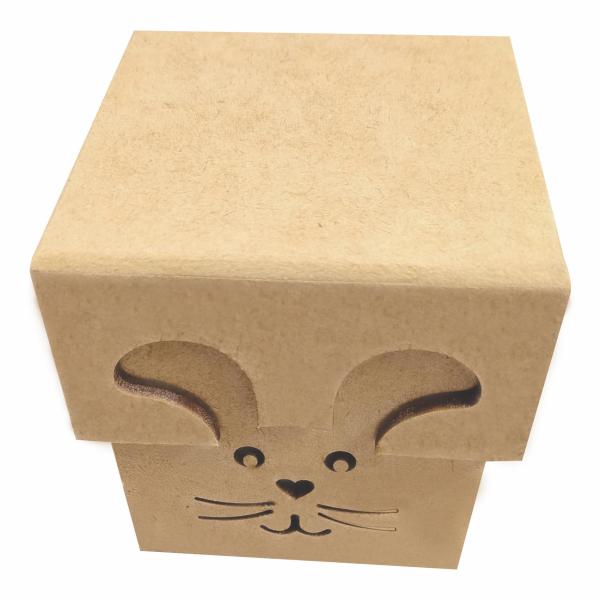 Caixa coelho com tampa de sapato