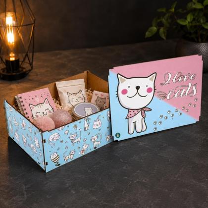 Caixa de MDF Organizadora Gato I Love Cats 23x17x9 cm