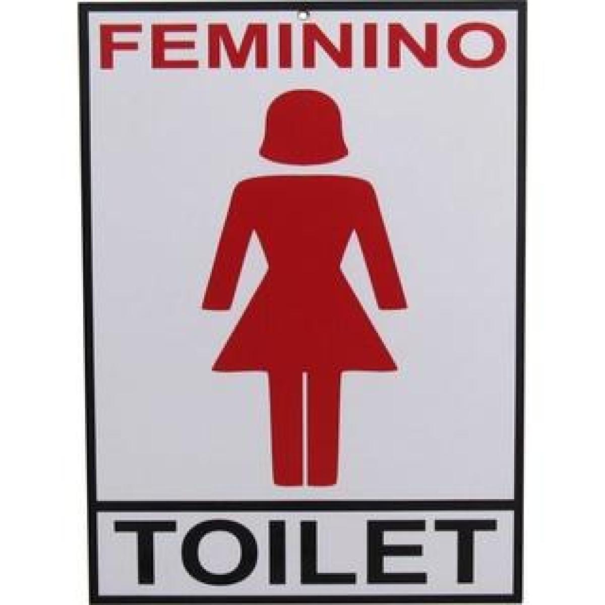 Placa Decorativa De Informações Banheiro Feminino mdf