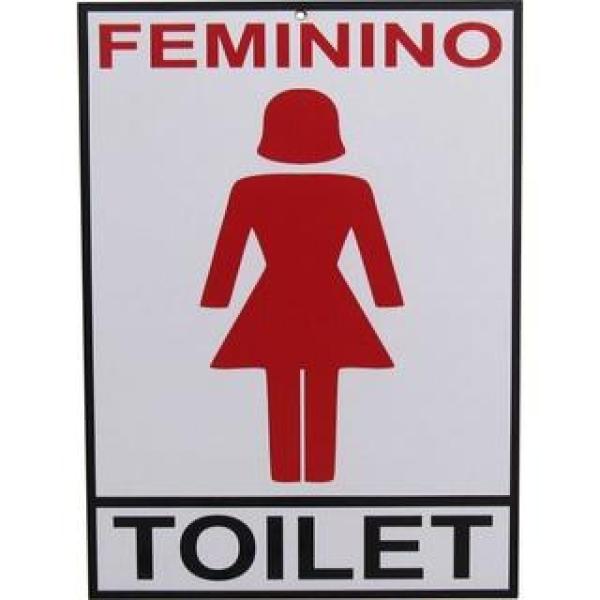 Placa Decorativa De Informações Banheiro Feminino mdf