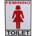 Placa Decorativa De Informações Banheiro Feminino mdf